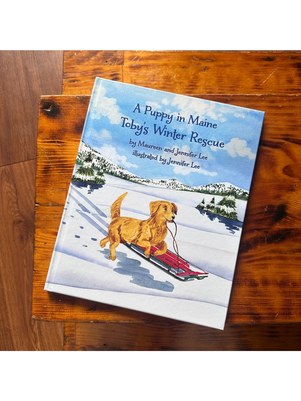 A Puppy In Maine Toby's Winter Rescue Hardcover Book